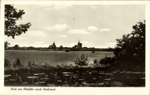 Ak Stralsund in Vorpommern, Blick von Altefähr auf Rügen