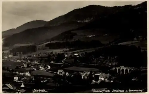 Ak Steinhaus am Semmering Steiermark, Gesamtansicht