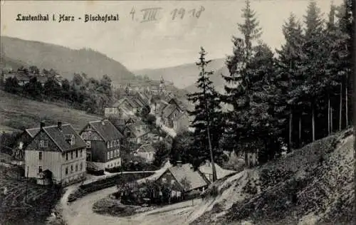 Ak Bergstadt Lautenthal Langelsheim am Harz, Blick ins Bischofstal