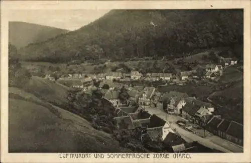 Ak Zorge Walkenried im Harz, Teilansicht