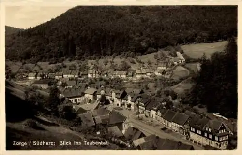 Ak Zorge Walkenried im Harz, Taubental, Teilansicht