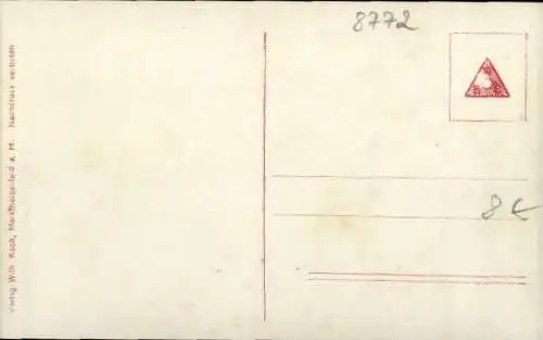 Ak Marktheidenfeld im Spessart Unterfranken, Totalansicht
