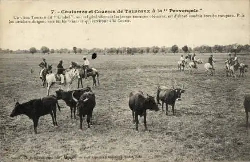 Ak Coutumes et Courses de Taureaux a la Provencale, Reiter, Stiere