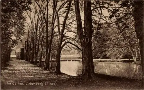 Ak Liebenberg Löwenberger Land in der Mark, Schloss Liebenberg, Garten