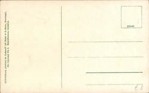 Ak Sinaia Rumänien, Castel Peles