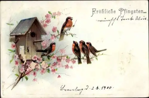 Litho Glückwunsch Pfingsten, Rotkehlchen vor einem Nistkasten, singende Vögel, Dirigent
