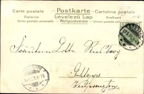 Litho Drei junge Hunde in der Handtasche