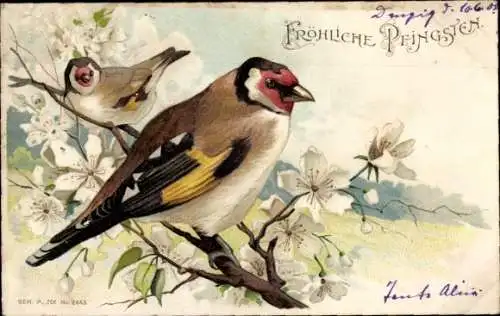 Litho Glückwunsch Pfingsten, Vögel am blühenden Baum