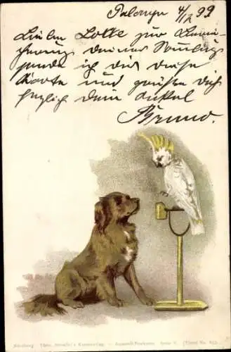 Litho Brauner Hund, Papagei