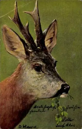 Litho Rehbock mit Kleeblättern im Maul, Geweih
