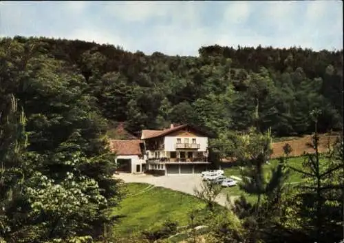 Ak Krausenbach Dammbach im Spessart, Gasthaus Heppe, Autos, Wald