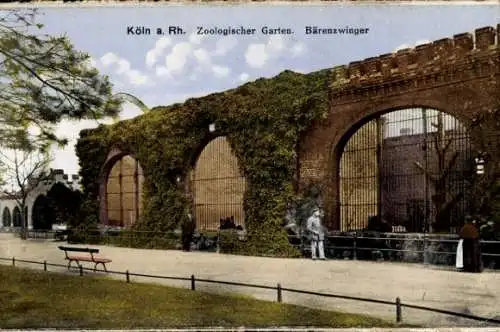 Ak Köln am Rhein, Zoologischer Garten, Bärenzwinger