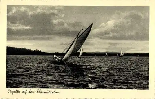 Ak Scharmützelsee, Regatta, Segelboot