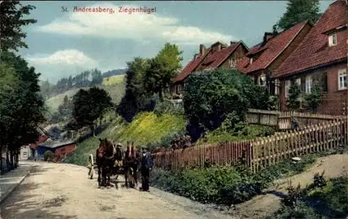 Ak Sankt Andreasberg Braunlage im Oberharz, Ziegenhügel, Pferdefuhrwerk