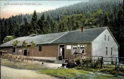 Ak Sankt Andreasberg Braunlage im Oberharz, Rinderstall
