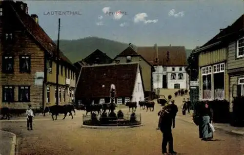 Ak Lautenthal Langelsheim im Oberharz, Kühe, Am Platz