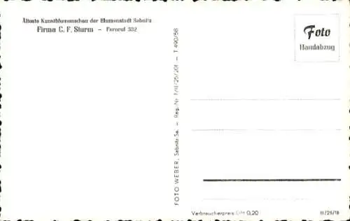 Ak Sebnitz Sächsische Schweiz, Älteste Kunstblumenschau, Firma C. F. Sturm
