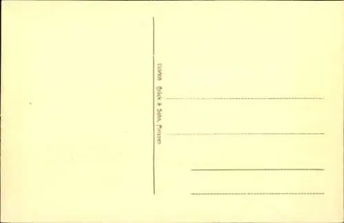 Ak Hainichen in Sachsen, Wilhelmstraße