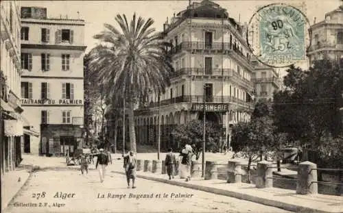 Ak Algier Algier Algerien, La Rampe Bugeaud und die Palme