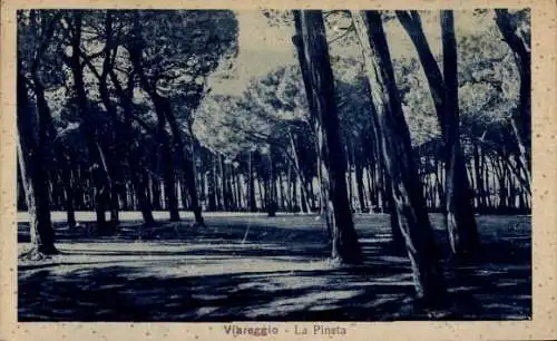 Ak Viareggio Toscana, La Pineta