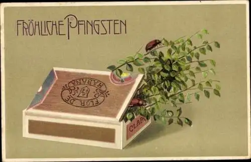 Präge Ak Glückwunsch Pfingsten, Maikäfer auf Zweigen, Zigarrenschachtel