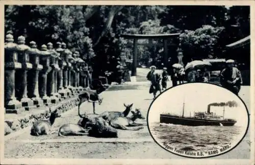 Ak NYK Line, Nippon Yūsen, Dampfer SS Kamo Maru