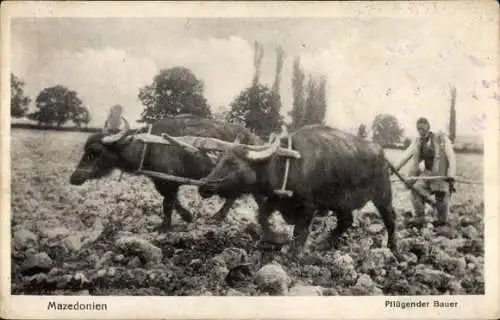 Ak Mazedonien, Pflügender Bauer