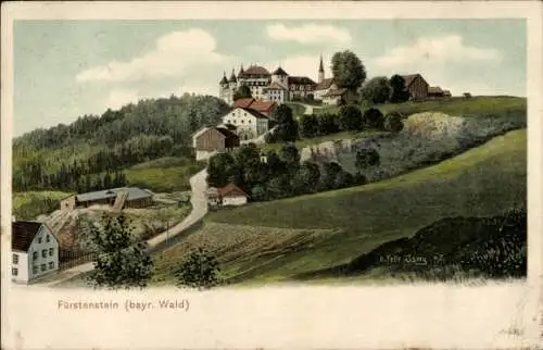 Künstler Ak Felle, Eugen, Fürstenstein in Niederbayern, Schloss