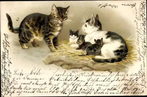 Litho Katzenfamilie, Junge Katzen, Stroh