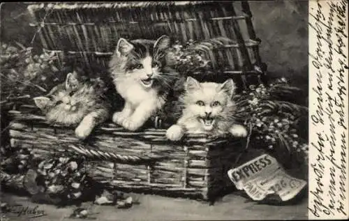 Künstler Litho Huber, E., Junge Katzen in einer Truhe