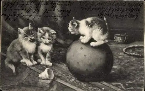 Künstler Litho Huber, E., Spielende Katzen, Ball, Trommel