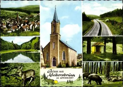 Ak Weibersbrunn im Spessart, Kirche, Rotwild, Schwarzwild, Ortsansicht, Kapelle