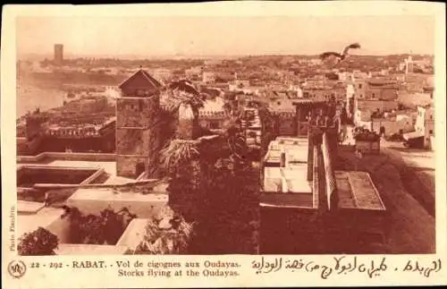 Ak Rabat Marokko, Störche überfliegen die Stadt, Nest