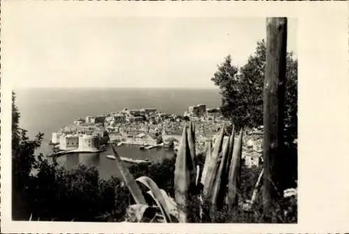 Ak Dubrovnik Kroatien, Panorama