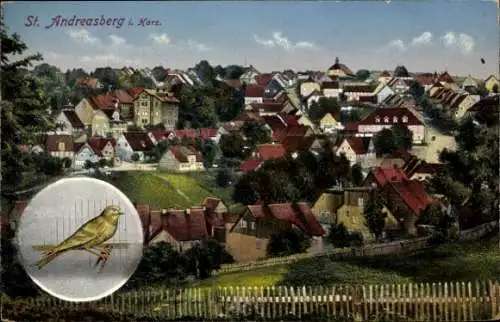 Ak St. Andreasberg Braunlage im Harz, Stadtpanorama, Harzer Roller