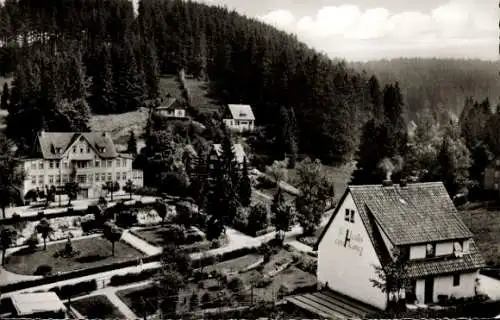 Ak Altenau Clausthal Zellerfeld im Oberharz, kleine Oker, Gebirgshotel