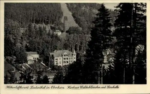 Ak Bergstadt Lautenthal Langelsheim am Harz, Kurhaus Waldschlösschen und Lesehalle, Wald