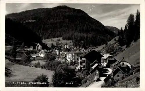 Ak Turrach Steiermark, Teilansicht