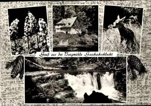 Ak Hüfingen im Schwarzwald, Gauchachschlucht, Naturfreundehaus Burgmühle, Wasserfall