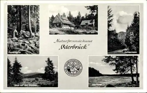 Ak Oderbrück Braunlage im Oberharz, Naturfreundehaus, Oderteich, Achtermann, Brocken