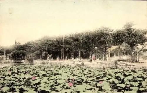 Ak Japan, Fluss, Brücke, Spazierende Menschen, Feld