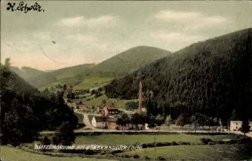 Ak Ługowina Blitzengrund Mieroszów Friedland Bezirk Breslau Niederschlesien, Panorama