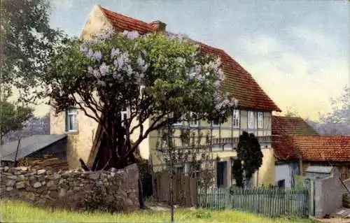 Ak Photochromie Nenke und Ostermaier 1195, Bauernhaus in Sachsen, blühender Flieder