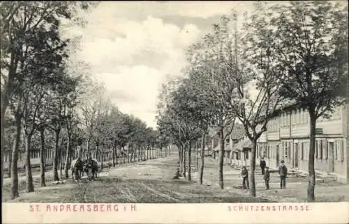 Ak Sankt Andreasberg Braunlage im Oberharz, Schützenstraße, Allee, Pferdekutsche