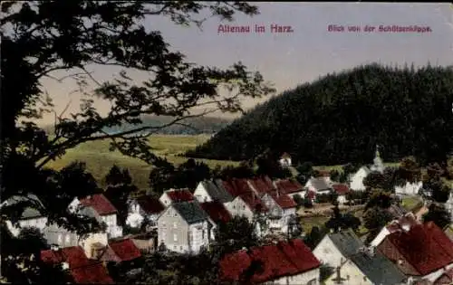 Ak Altenau Clausthal Zellerfeld im Oberharz, Blick von der Schützenklippe