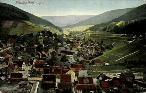 Ak Lautenthal Langelsheim im Oberharz, Panorama