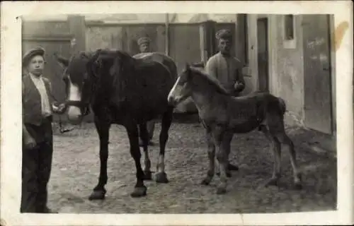 Foto Ak Pferd mit Fohlen, Junge, Männer in Uniformen