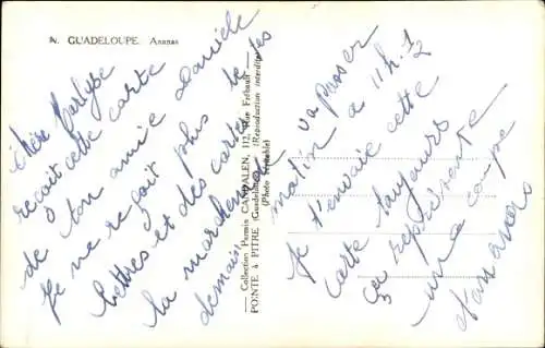 Ak Guadeloupe, Ananas