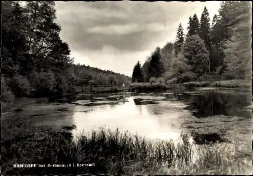 Ak Rothenbuch im Spessart, Bomigsee