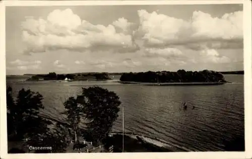 Ak Sønderhav Süderhaff Dänemark, Okseøer, Ochseninseln, Flensburger Förde